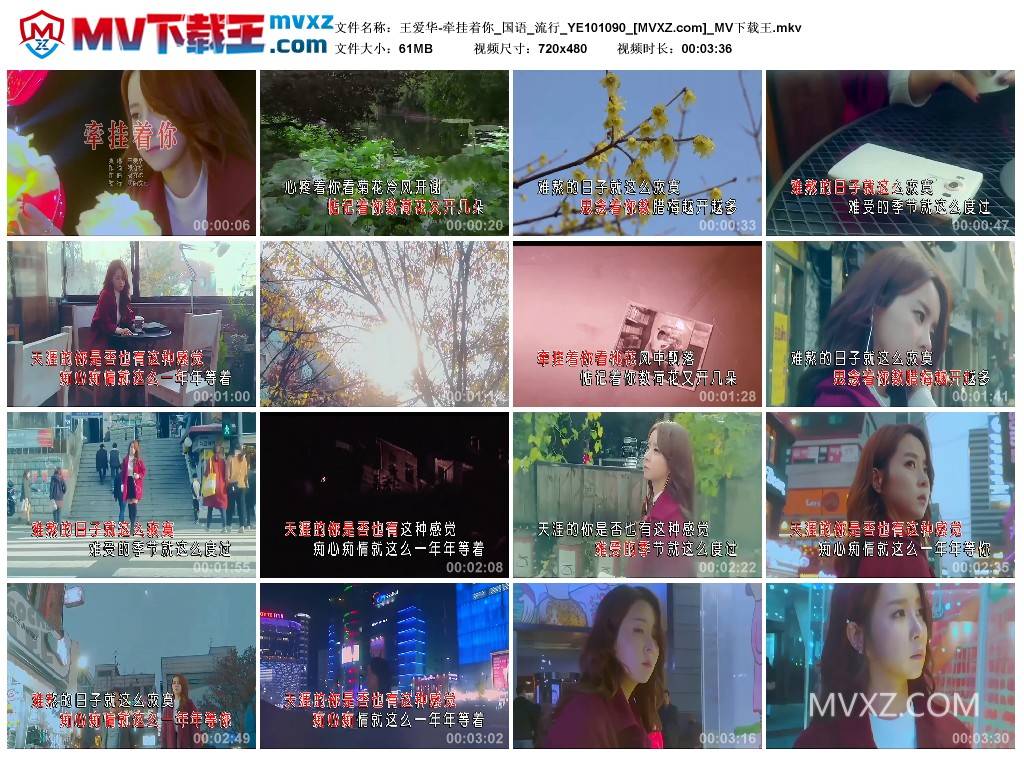 王爱华-牵挂着你_国语_流行_YE101090